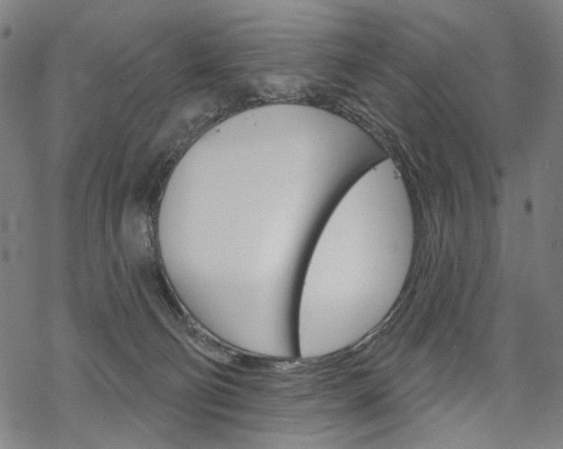 X0000069380130200605120927