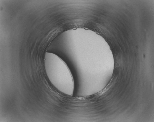 X0000069380140200605120927