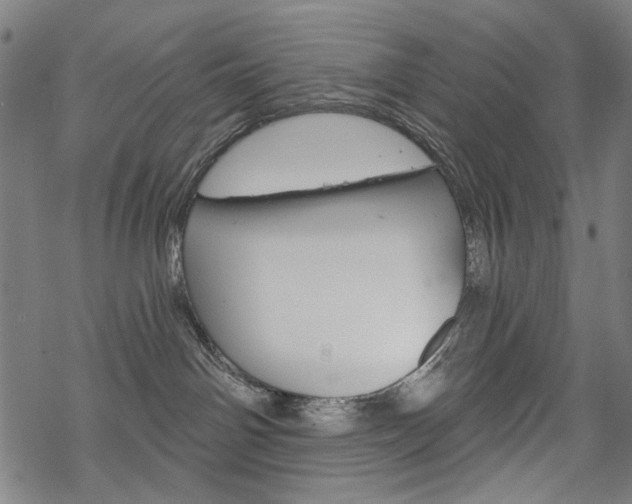 X0000069380142200605120927