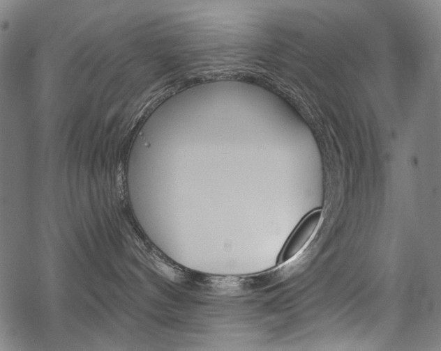 X0000069380144200605120927