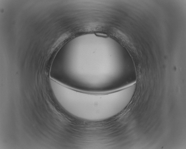 X0000069380164200605120927
