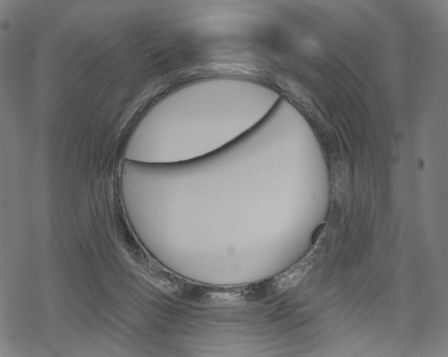 X0000069380167200605120927