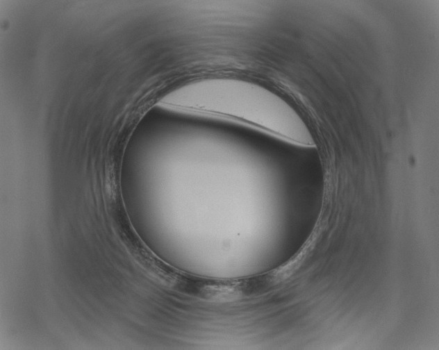 X0000069380170200605120927