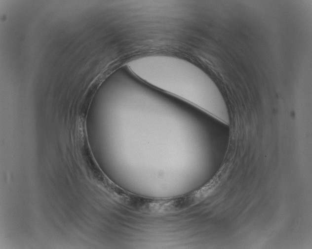 X0000069380172200605120927