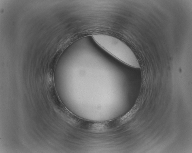 X0000069380176200605120927