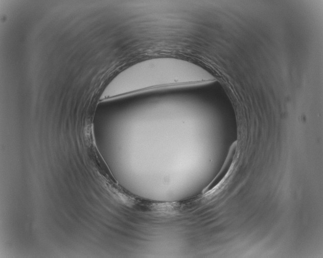 X0000069380192200605120927