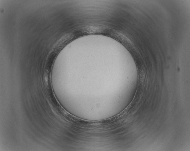 X0000069380214200605120926