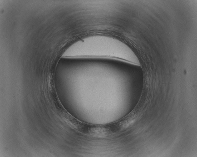 X0000069380219200605120926