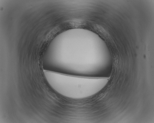 X0000069380221200605120926
