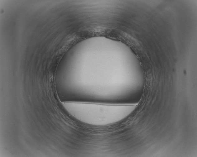 X0000069380225200605120926