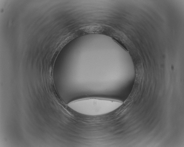 X0000069380239200605120926