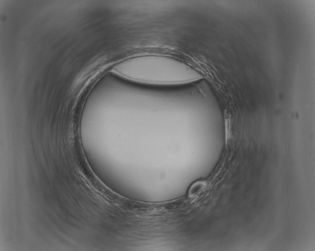 X0000069380243200605120925