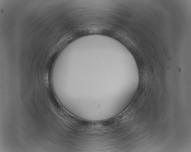 X0000069380262200605120925
