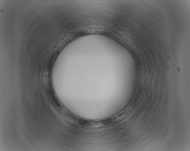X0000069380263200605120925