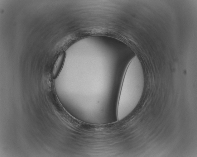 X0000069380264200605120925