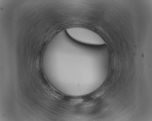 X0000069380266200605120925