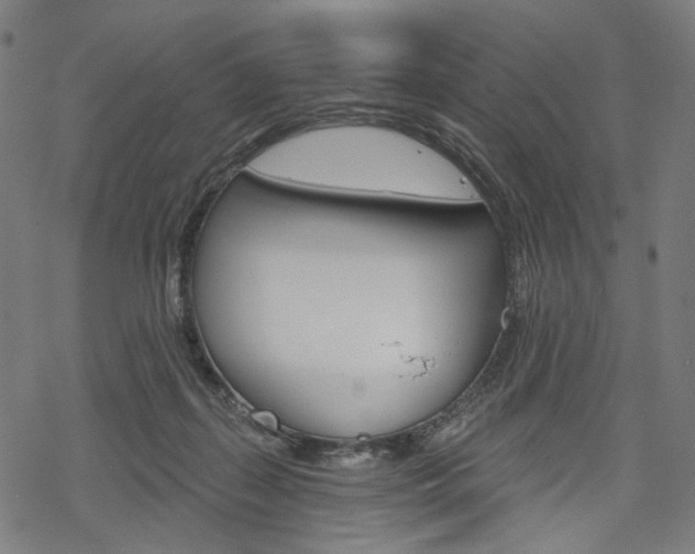 X0000069380267200605120925