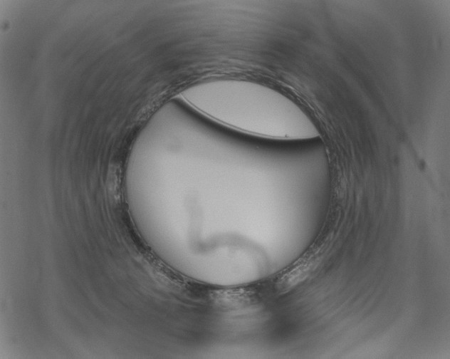 X0000069380273200605120925