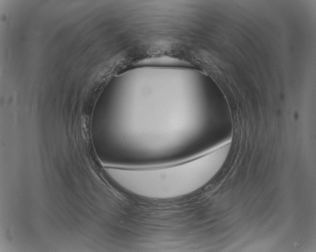 X0000069380280200605120925