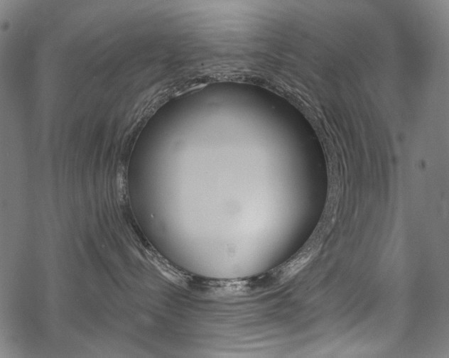 X0000069380288200605120926