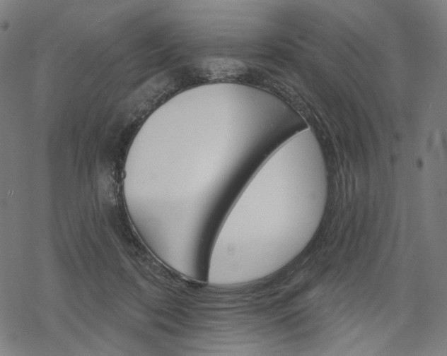 X0000069380316200605120924
