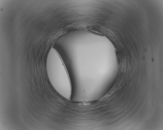X0000069380335200605120924
