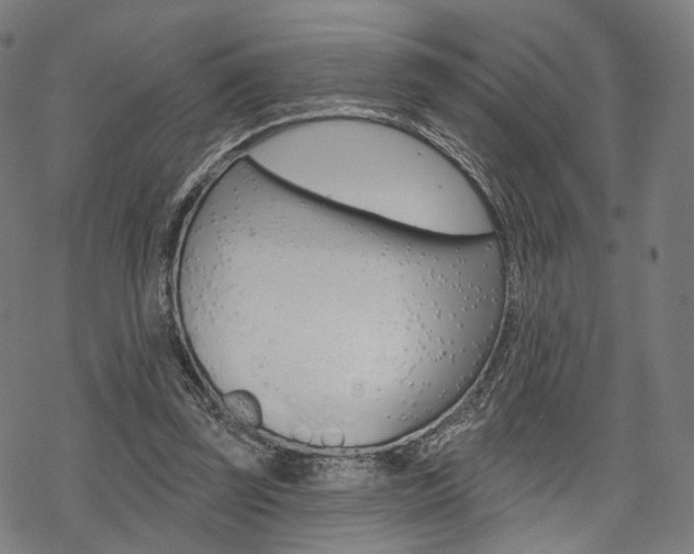 X0000069380347200605120923