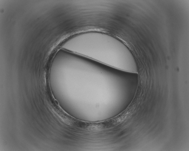X0000069380350200605120923