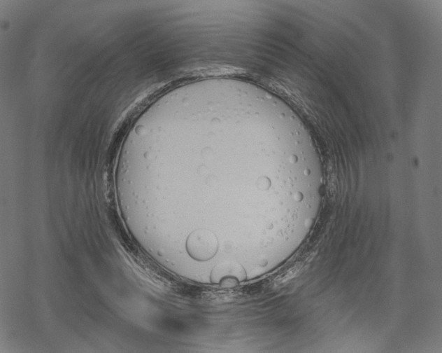 X0000069380351200605120923