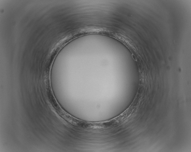 X0000069380352200605120923