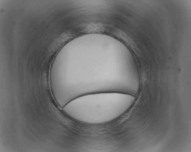 X0000069380353200605120923