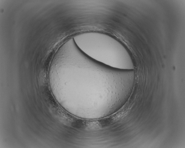 X0000069380355200605120924