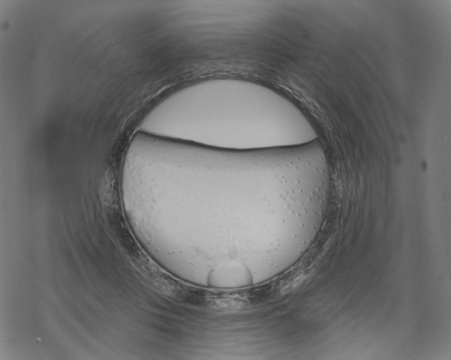 X0000069380359200605120924