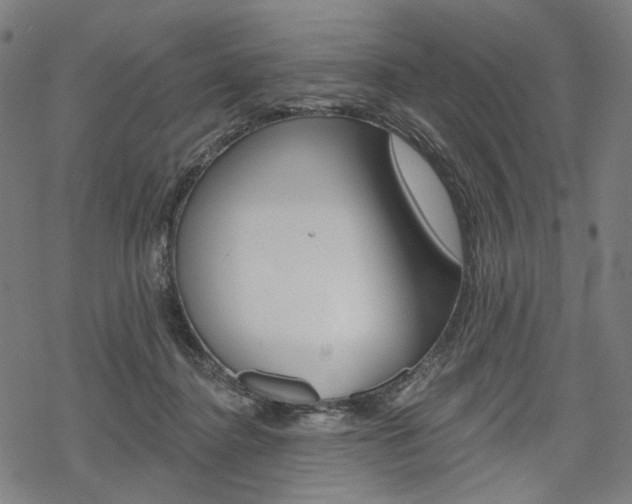X0000069380364200605120924