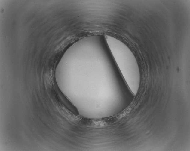 X0000069380376200605120924