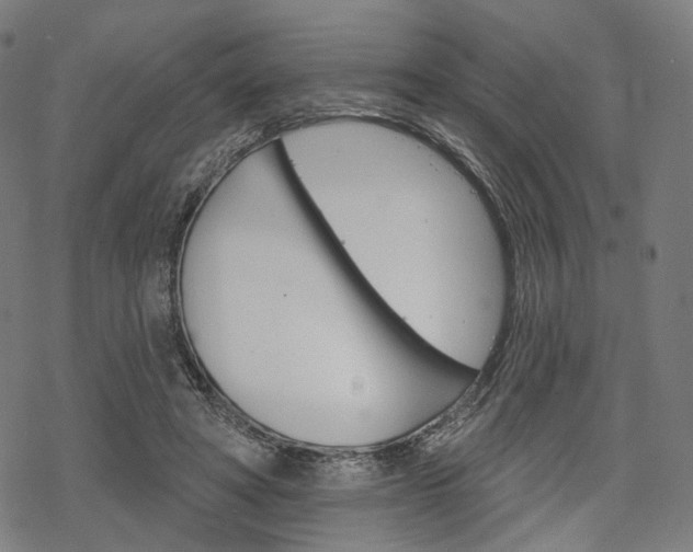 X0000069380402200605120923