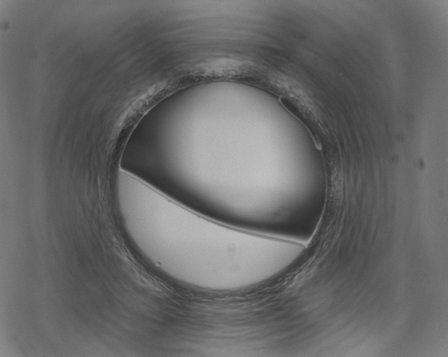 X0000069380403200605120923