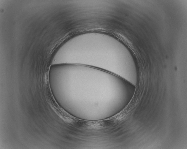 X0000069380405200605120923