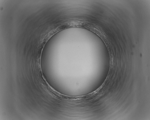 X0000069380411200605120923