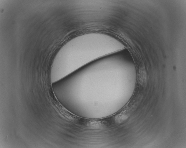 X0000069380413200605120923