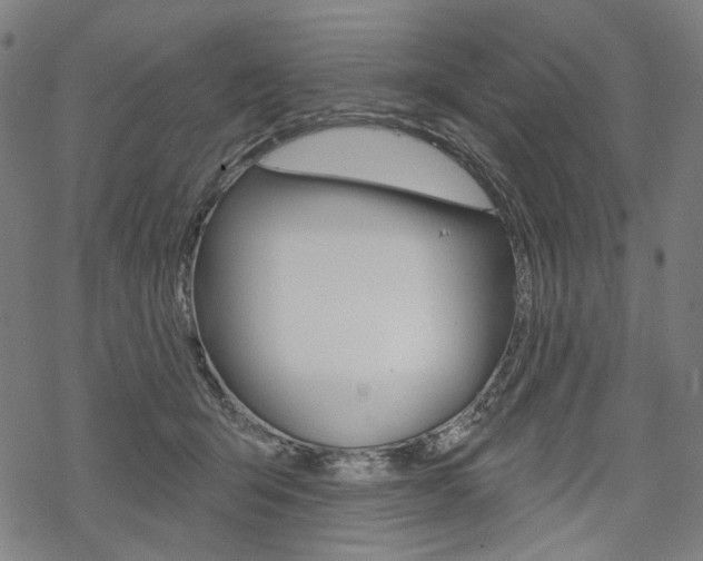 X0000069380415200605120923