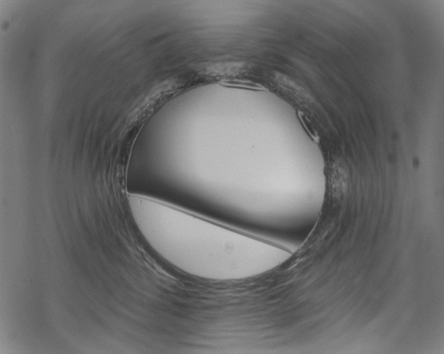 X0000069380428200605120922