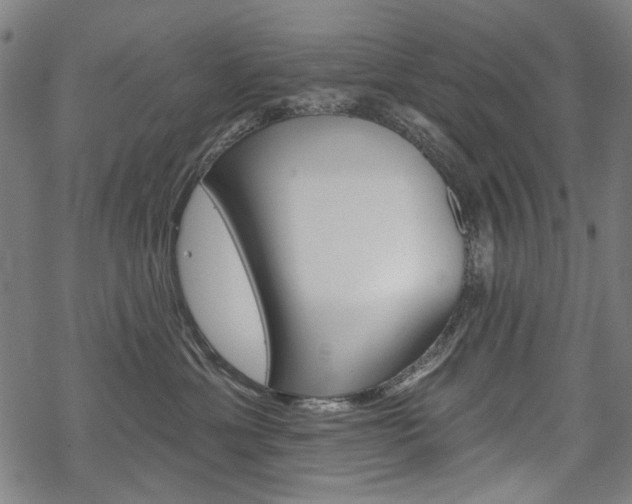 X0000069380429200605120922
