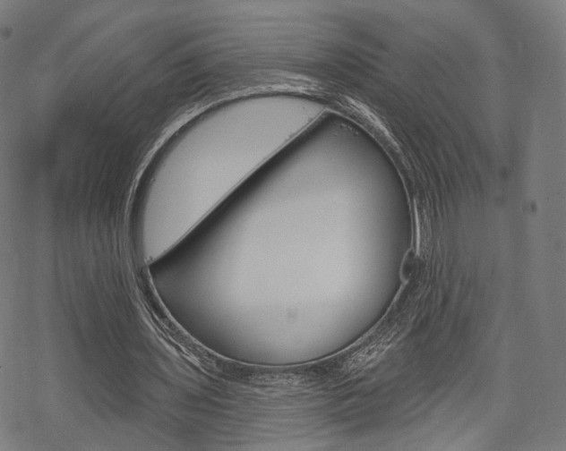 X0000069380435200605120922