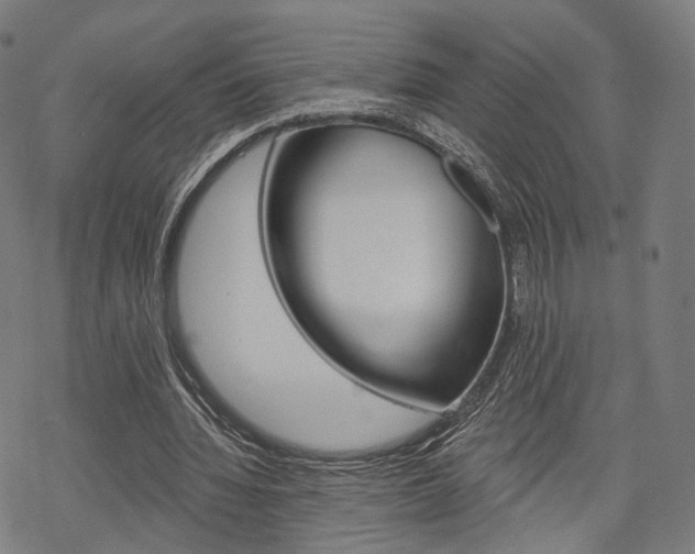 X0000069380436200605120922