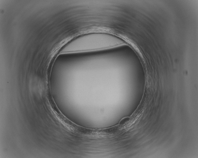 X0000069380437200605120922