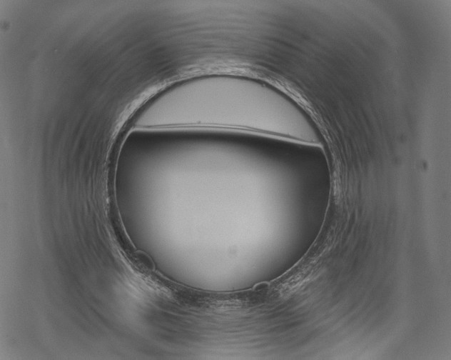 X0000069380438200605120922
