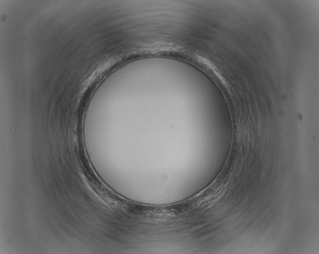 X0000069380443200605120922