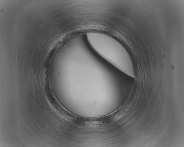 X0000069380448200605120922
