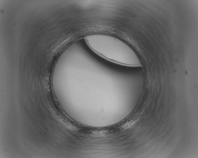 X0000069380450200605120922
